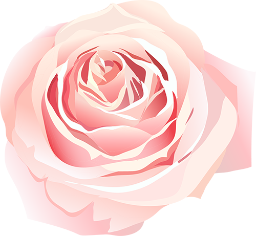 赴春日之约 绽巾帼芳华