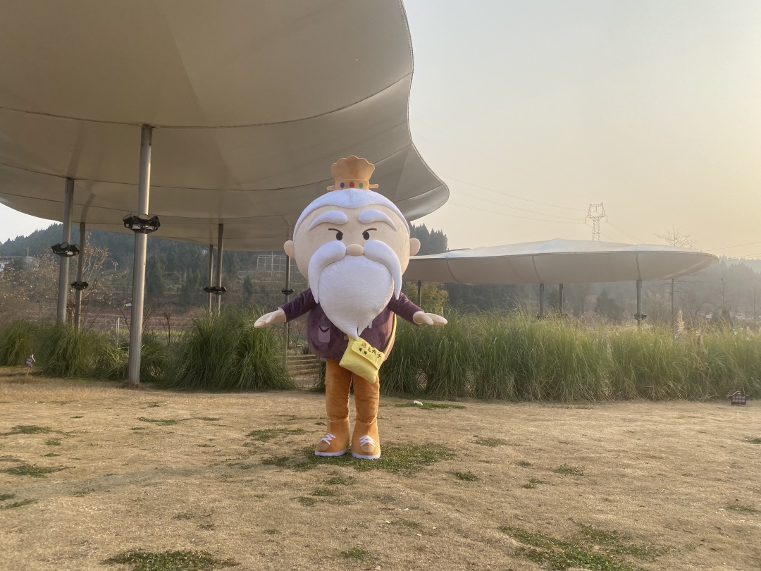 德孔夫子寻医记(图21) 德孔夫子寻医记(图21)