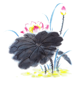 来文庙赴一场浪漫的约会吧(图5) 来文庙赴一场浪漫的约会吧(图5)