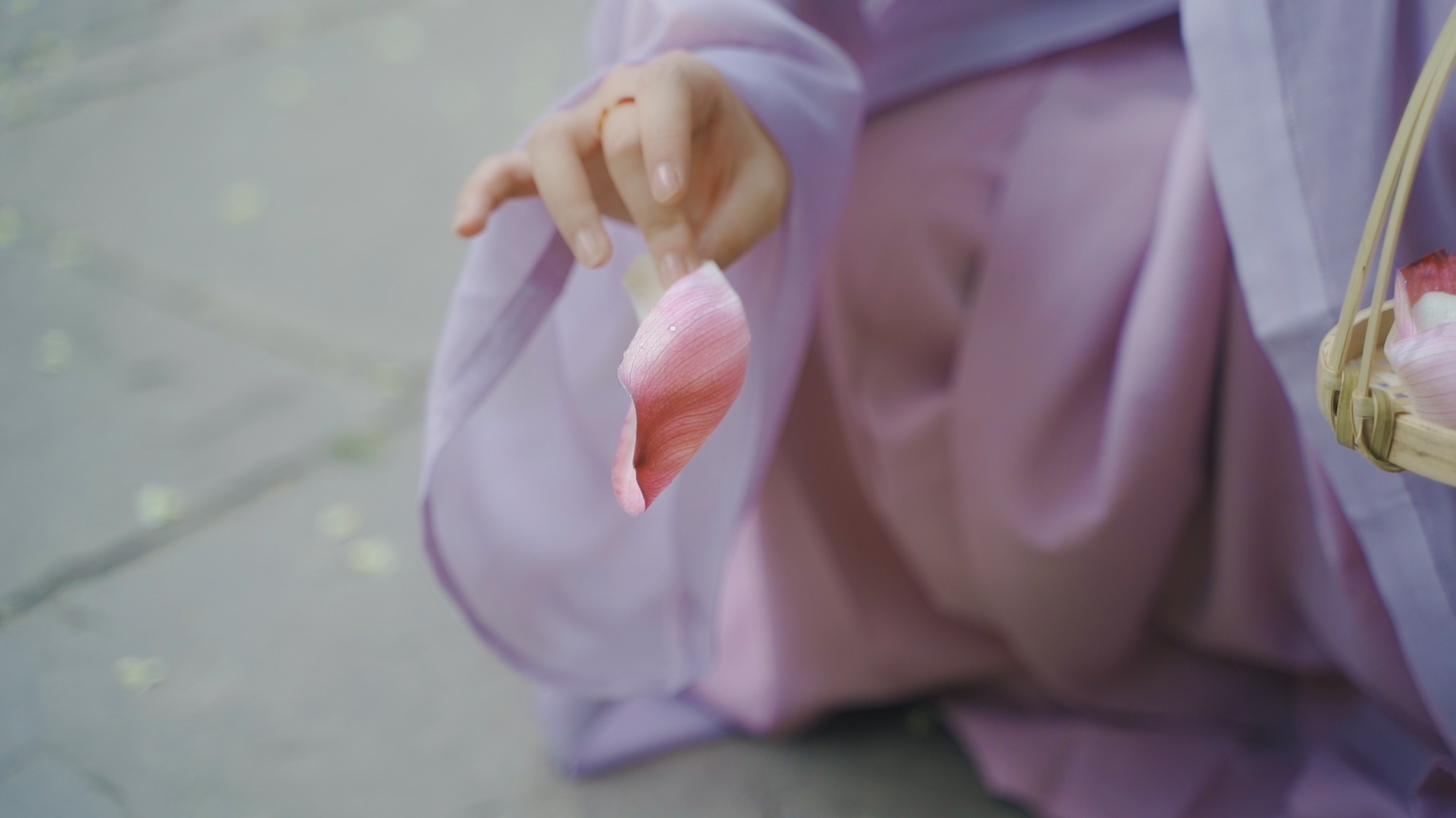 来文庙赴一场浪漫的约会吧(图9) 来文庙赴一场浪漫的约会吧(图9)