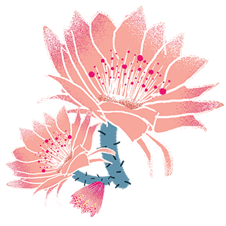 德阳市博物馆开展“乞巧讨喜迎七夕 晒书读诗明学经”传统文化民俗活动   