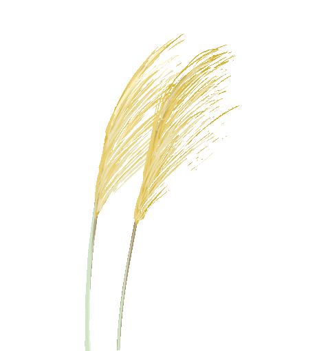 德阳文庙即将再现“穿越千年”的祭孔大典(图7) 德阳文庙即将再现“穿越千年”的祭孔大典(图7)