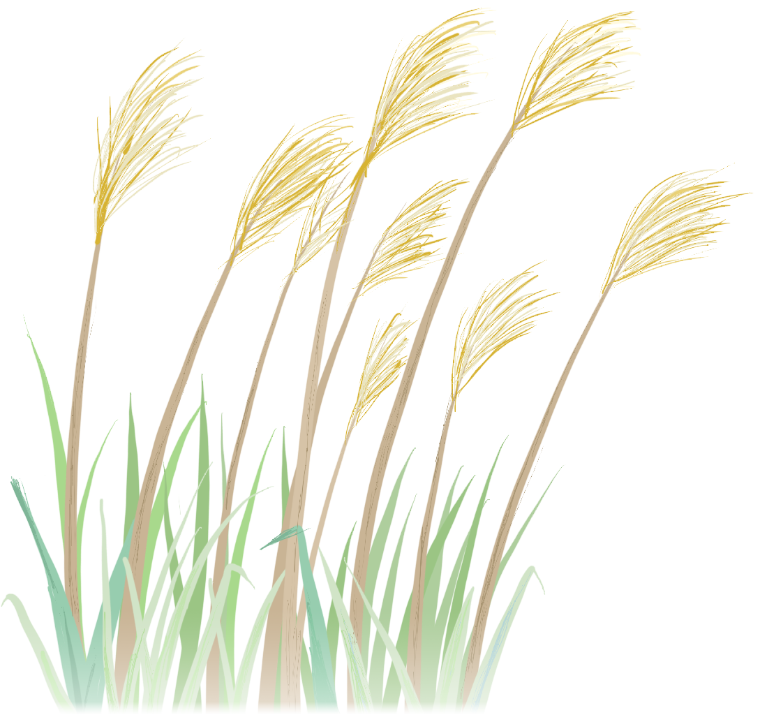 德阳文庙即将再现“穿越千年”的祭孔大典(图16) 德阳文庙即将再现“穿越千年”的祭孔大典(图16)