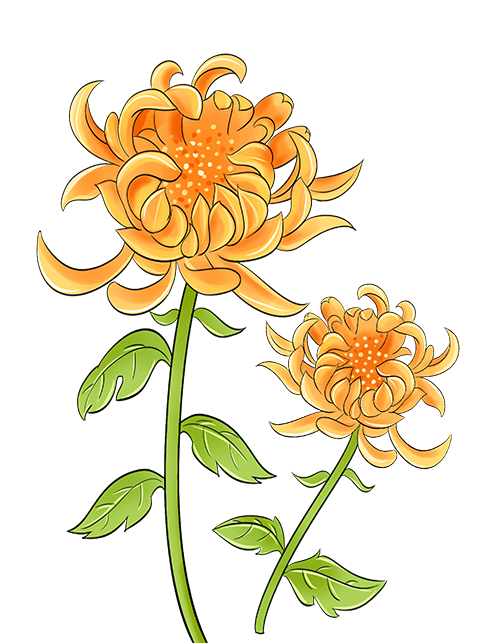 德阳市博物馆举行2023德阳文庙重阳赏秋传统民俗活动(图1) 德阳市博物馆举行2023德阳文庙重阳赏秋传统民俗活动(图1)