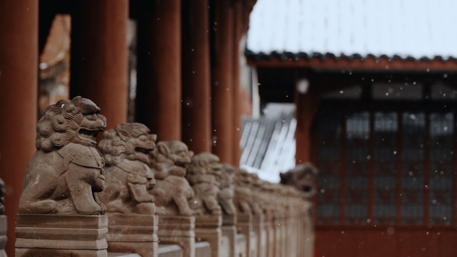 美哭了！德阳文庙的雪(图8)