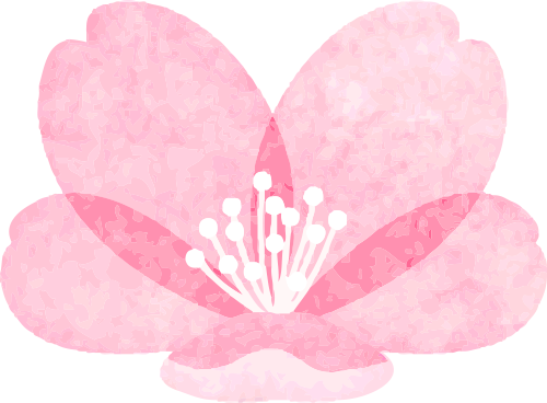 香港学生走进德阳文庙开展“释菜礼”研学旅行活动(图2)