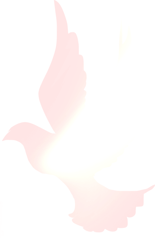 喜报喜报!(图2) 喜报喜报!(图2)