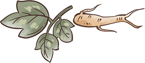 德阳文庙入选省级研学品质提升试点单位(图9)