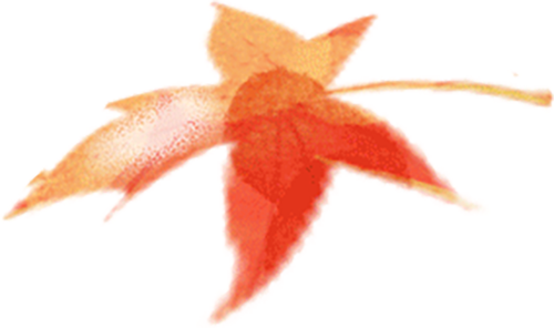 免费报名通道已开启 | 校博联动.与你共午  让午休持续绽放活力光彩(图2)