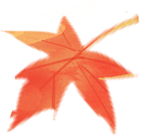 免费通道已开 速速报名┃校博联动·与你共午——颂钵体验