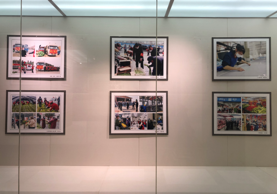 临时展览(图13) 临时展览(图12)