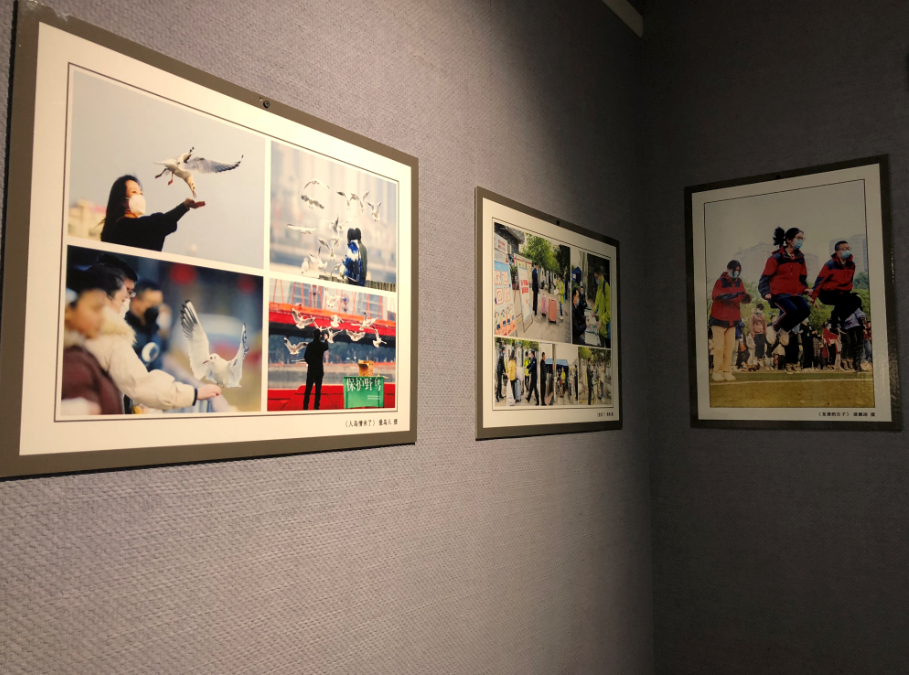 临时展览(图11) 临时展览(图10)