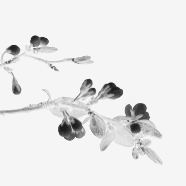 2021年德阳文庙祭孔大典暨传统文化日系列活动“剧透”(图9)